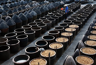 ʳ�����콴�ͼ��