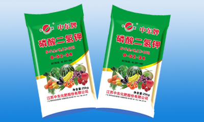 �������ؼ��