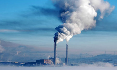 ������Ⱦ���