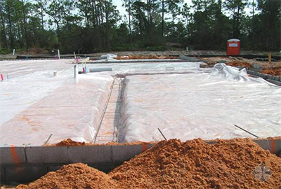 ����ϩ����ũ�õ������ֱ�Ĥ���